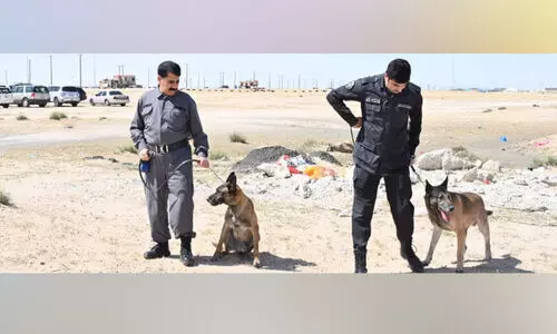 search for the missing