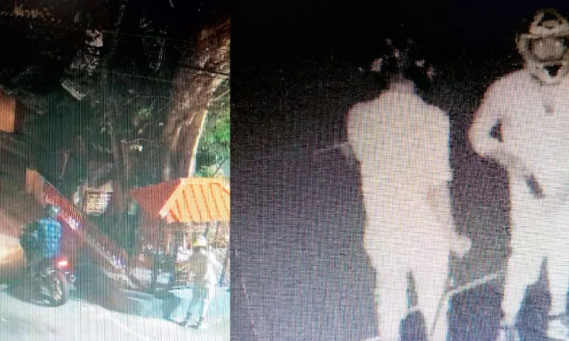 theft case theft case