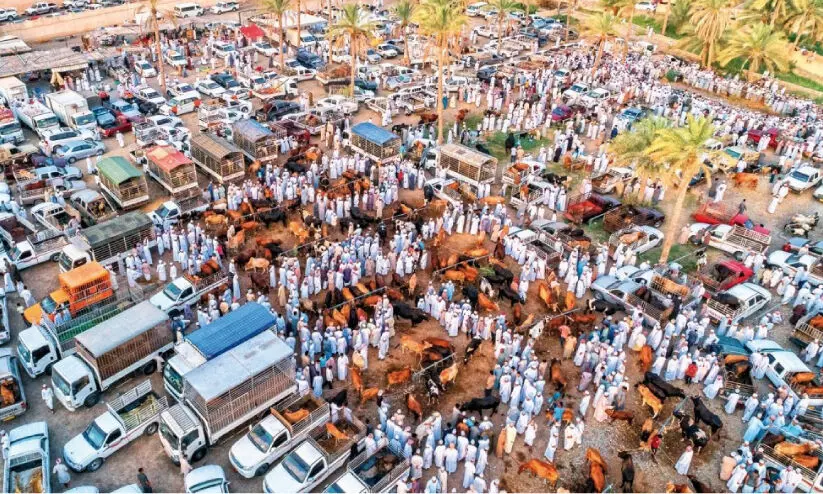 പെരുന്നാൾ ; ഹബ്ത മാർക്കറ്റുകളിൽ തിരക്കേറി പെരുന്നാൾ ; ഹബ്ത മാർക്കറ്റുകളിൽ തിരക്കേറി