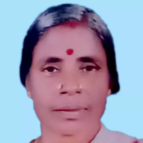 തേ​നീ​ച്ച​യു​ടെ കു​ത്തേ​റ്റ് വീ​ട്ട​മ്മ മ​രി​ച്ചു