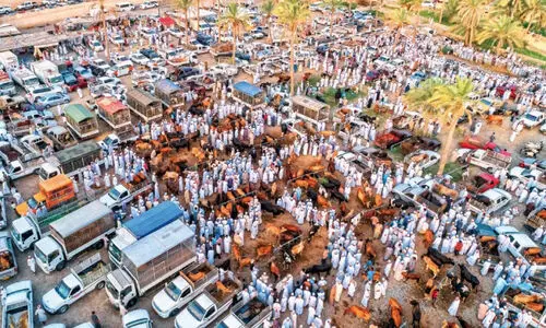 പെരുന്നാൾ ; ഹബ്ത മാർക്കറ്റുകളിൽ തിരക്കേറി പെരുന്നാൾ ; ഹബ്ത മാർക്കറ്റുകളിൽ തിരക്കേറി