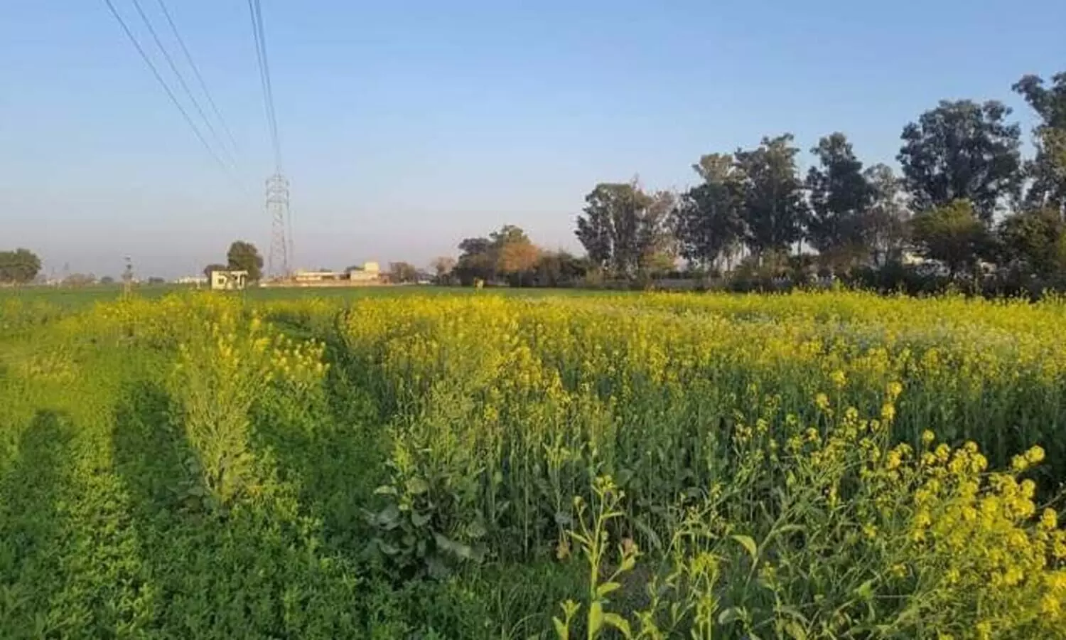 ചരിത്രമുറങ്ങുന്ന മണ്ണ്, അമൃത്സർ