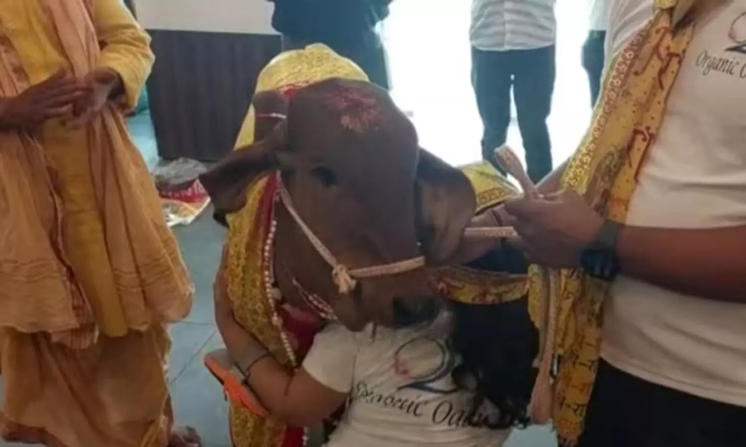 യു.പിയിൽ ഭക്ഷണശാലയുടെ ഉദ്ഘാടനം നിർവഹിച്ച് പശു