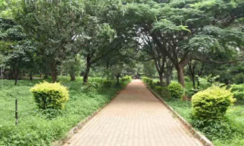 ക​ബ​ൺ പാ​ർ​ക്കി​ലെ നി​യ​ന്ത്ര​ണ​ങ്ങ​ൾ​ക്കെ​തി​രെ ഓ​ൺ​ലൈ​ൻ കാ​മ്പ​യി​ൻ