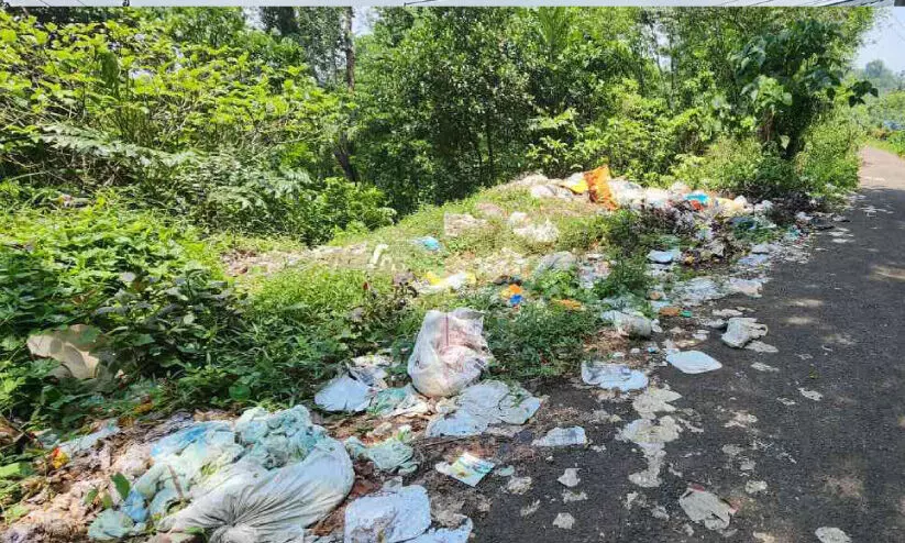 അറവുമാലിന്യം റോഡുവക്കിൽ തള്ളുന്നു