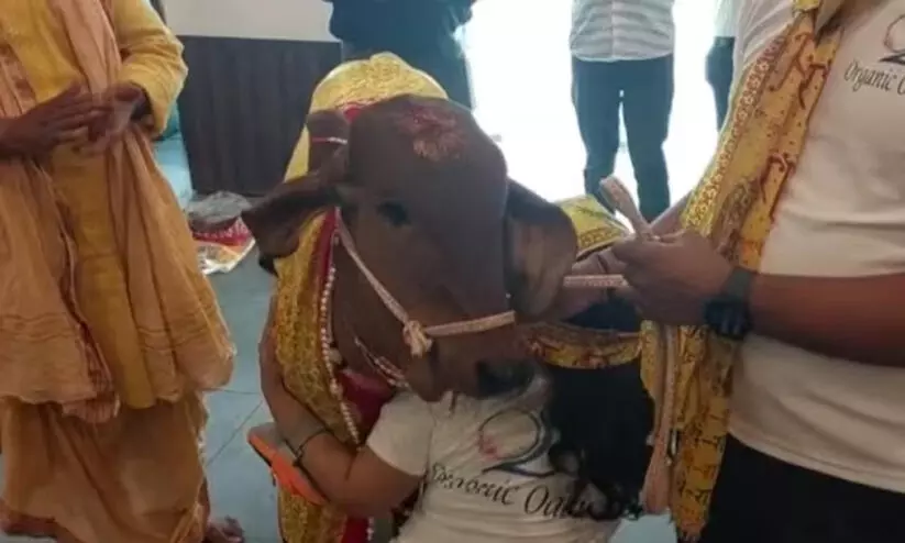 യു.പിയിൽ ഭക്ഷണശാലയുടെ ഉദ്ഘാടനം നിർവഹിച്ച് പശു