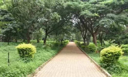 ക​ബ​ൺ പാ​ർ​ക്കി​ലെ നി​യ​ന്ത്ര​ണ​ങ്ങ​ൾ​ക്കെ​തി​രെ ഓ​ൺ​ലൈ​ൻ കാ​മ്പ​യി​ൻ