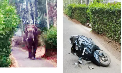 കാ​ട്ടാ​ന ആ​ക്ര​മ​ണം;  സ്‌​കൂ​ട്ട​ര്‍ യാ​ത്ര​ക്കാ​ര​ൻ ര​ക്ഷ​പ്പെ​ട്ട​ത് ത​ല​നാ​രി​ഴ​ക്ക്