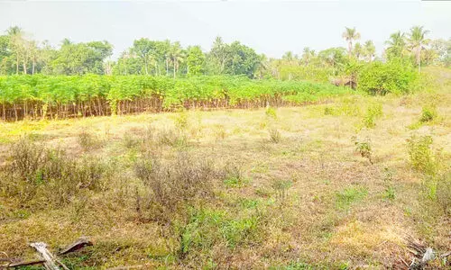 പൂലാനി ആര്യൻപാടത്ത് കൈയേറ്റം ഉണ്ട്; പക്ഷേ ഒഴിപ്പിക്കൽ ഉടനുണ്ടാവില്ല പൂലാനി ആര്യൻപാടത്ത് കൈയേറ്റം ഉണ്ട്; പക്ഷേ ഒഴിപ്പിക്കൽ ഉടനുണ്ടാവില്ല