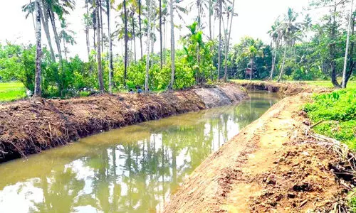 ചേ​റും ചെ​ളി​യും നീ​ങ്ങി വെ​ള്ളി​ക്കു​ളം വ​ലി​യ​തോ​ടി​ന്റെ മു​ഖം തെ​ളി​യു​ന്നു