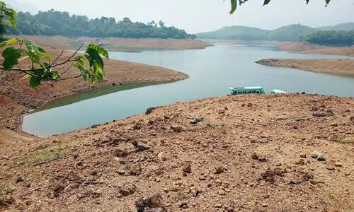 വേനൽ മഴ കുറഞ്ഞു; പരപ്പാർ ഡാമിലെ വെള്ളം നൂറ്​ മീറ്ററിൽ താഴെ