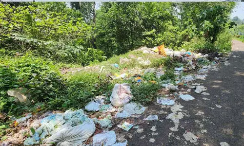 അറവുമാലിന്യം റോഡുവക്കിൽ തള്ളുന്നു