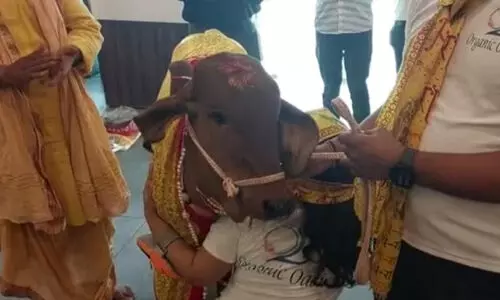 യു.പിയിൽ ഭക്ഷണശാലയുടെ ഉദ്ഘാടനം നിർവഹിച്ച് പശു