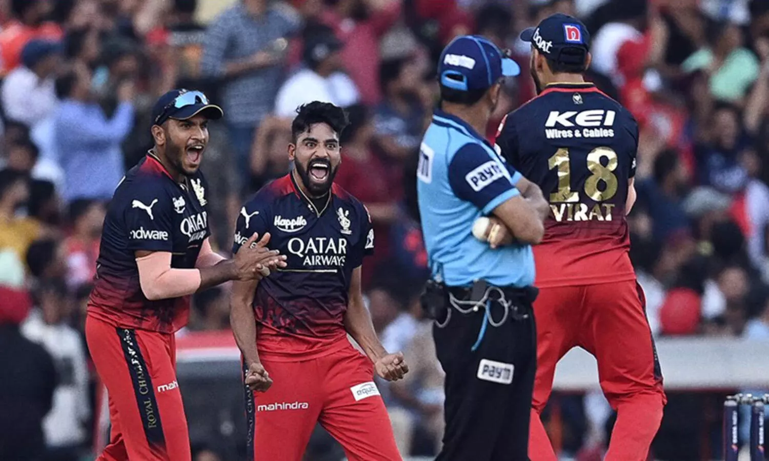 ബാറ്റിങ്ങിൽ ഡുപ്ലെസി, ബൗളിങ്ങിൽ സിറാജ്; പഞ്ചാബിനെ തകർത്ത് ബാംഗ്ലൂർ