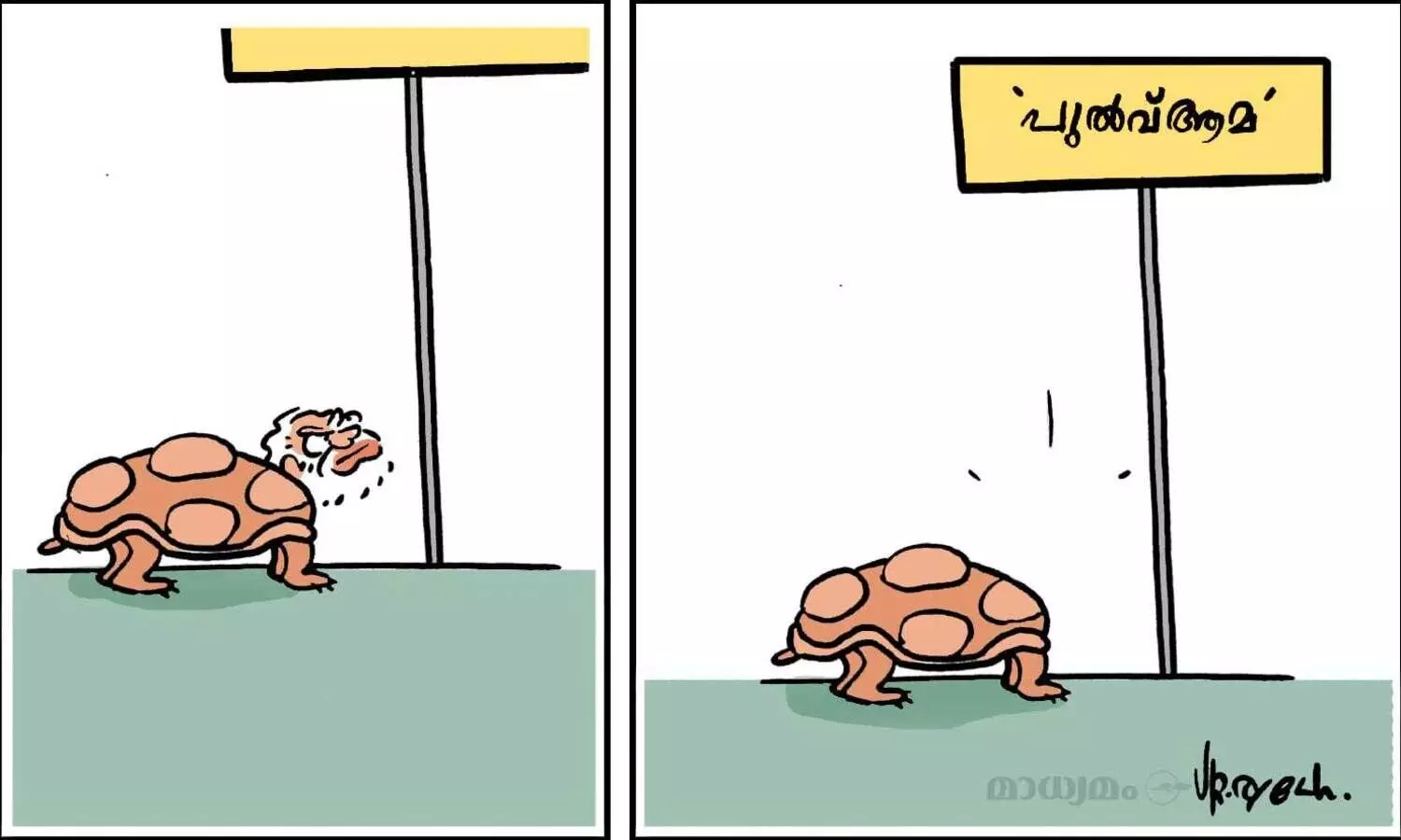 പുലാവ്ആമ