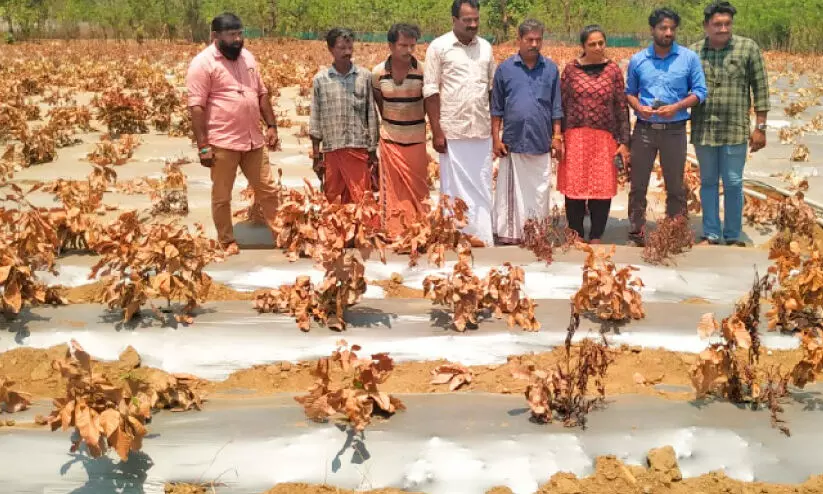 ആറളം ഫാമിൽ 40 ഏക്കറിൽ ടൂറിസം പദ്ധതിക്ക് തുടക്കം ആറളം ഫാമിൽ 40 ഏക്കറിൽ ടൂറിസം പദ്ധതിക്ക് തുടക്കം