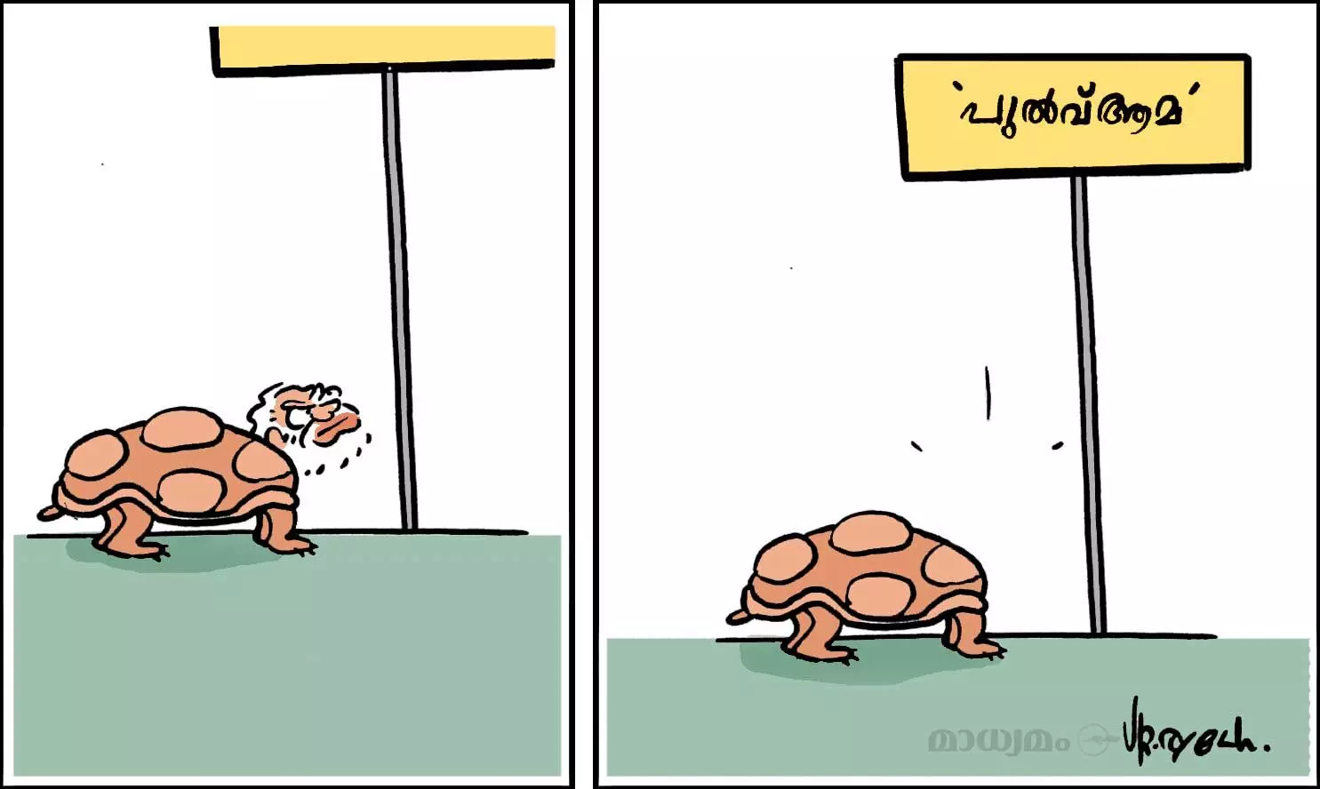 പുലാവ്ആമ