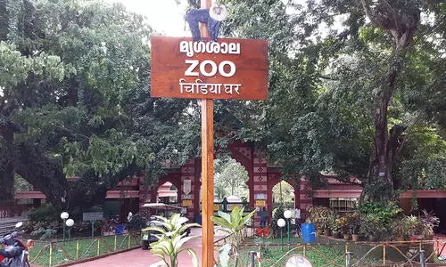 മൃഗശാലയിൽ വ്യത്യസ്ത ഇനങ്ങളിലെ 12 പക്ഷികളും മൃഗങ്ങളും ഉടനെത്തും മൃഗശാലയിൽ വ്യത്യസ്ത ഇനങ്ങളിലെ 12 പക്ഷികളും മൃഗങ്ങളും ഉടനെത്തും