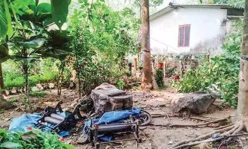 കാ​ട്ടാ​ന​ ആ​ക്ര​മ​ണ​ത്തി​ൽ ക​ർ​ഷ​ക​ന് പ​രി​ക്ക്