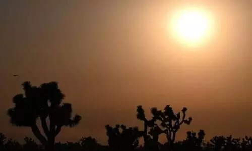 ‘എൽനിനോ’ തിരിച്ചുവരുന്നു; 2023ൽ ലോകം അനുഭവിക്കാൻ പോകുന്നത് സമാനതകളില്ലാത്ത കൊടുംചൂട്