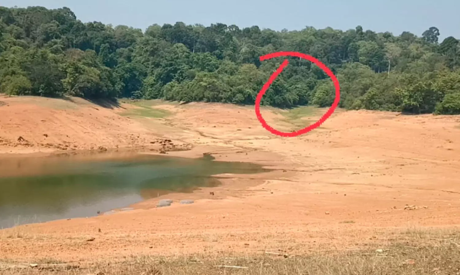 മു​ന്ന​റി​യി​പ്പു​മാ​യി വ​നം വ​കു​പ്പ്; തെ​ന്മ​ല​യി​ലെ വി​നോ​ദസ​ഞ്ചാ​ര മേ​ഖ​ല​യി​ലും ക​ടു​വ