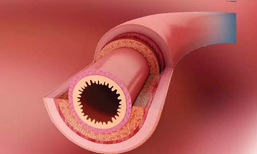 device to assess the health and age of blood vessels