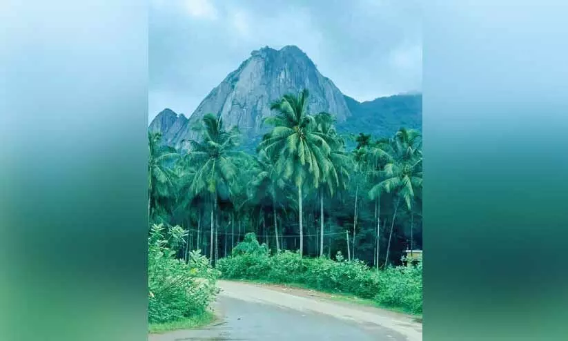 ഗ്രീൻഫീൽഡ് പാത ഗ്രീൻഫീൽഡ് പാത