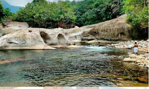 അരിപ്പാറ വെള്ളച്ചാട്ടം;  സഞ്ചാരികളുടെ സുരക്ഷ വർധിപ്പിക്കും