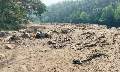 വരൾച്ച: വെള്ളമൊഴുകും വഴികൾ മറന്ന് പുഴകൾ