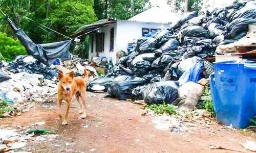 local news local news