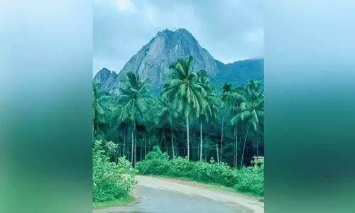 ഗ്രീൻഫീൽഡ് പാത ഗ്രീൻഫീൽഡ് പാത