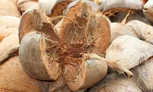 ഓൺലൈനിൽ ചകരിക്ക് പൊന്നും വില