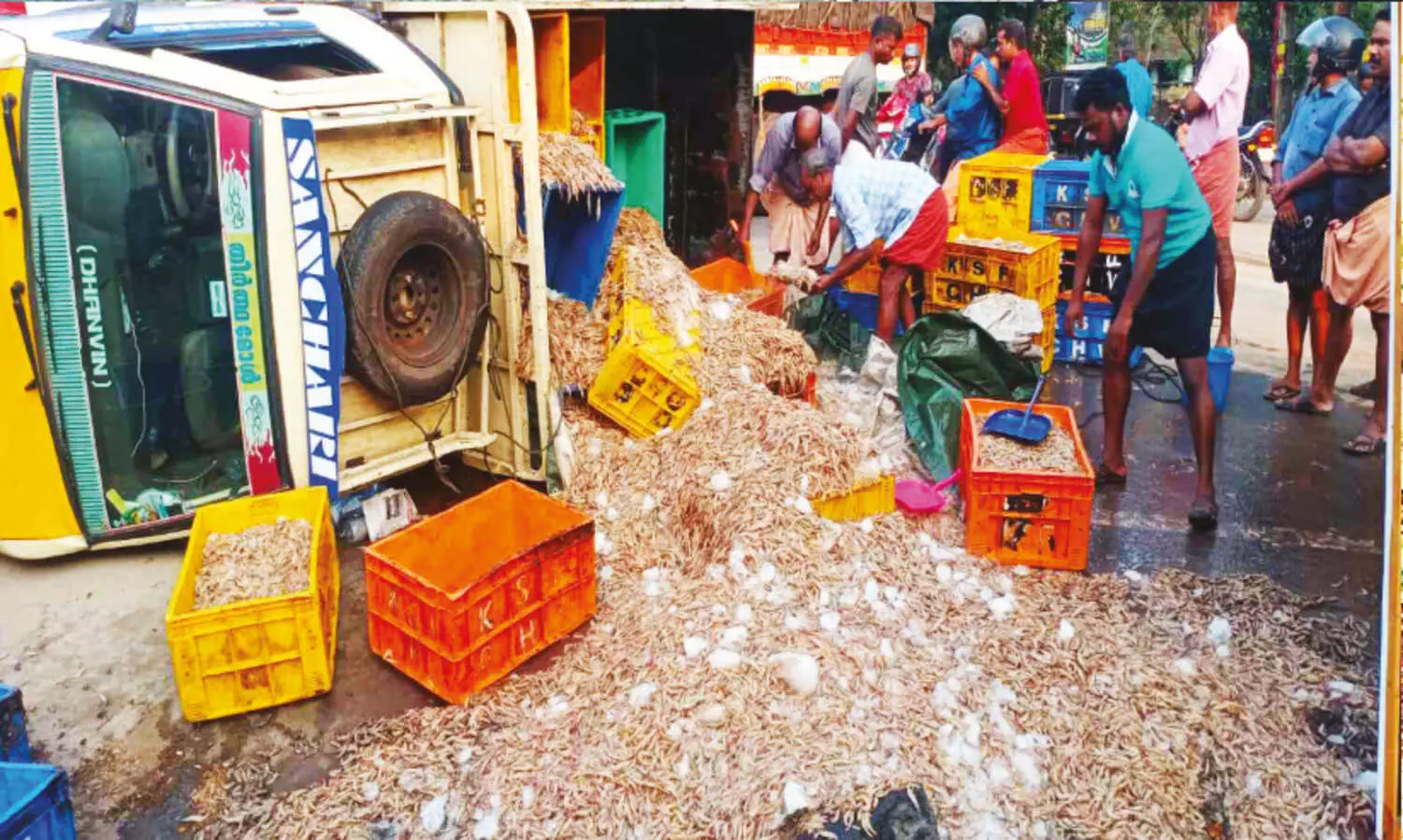 പി​ക്അ​പ് ലോ​റി മ​റി​ഞ്ഞ് ചെ​മ്മീ​ൻ റോഡിൽ ചി​ത​റി