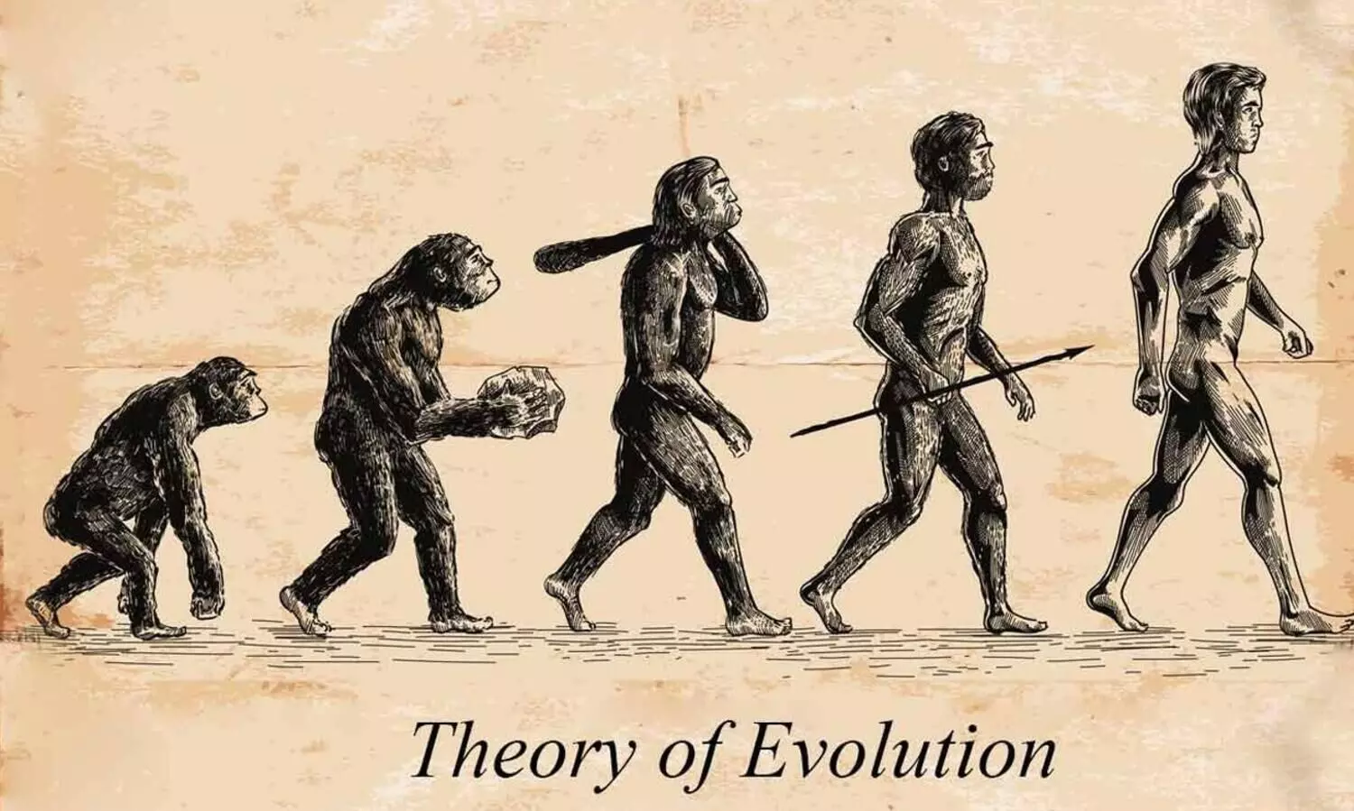 theory of evolution