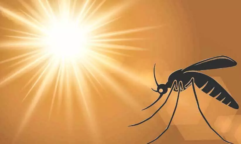 kochi local news kochi local news