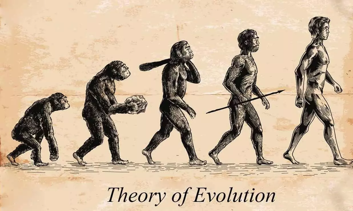 theory of evolution