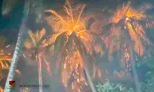 പടക്കം പൊട്ടിക്കുന്നതിനിടെ തെങ്ങിന് തീപിടിച്ചു