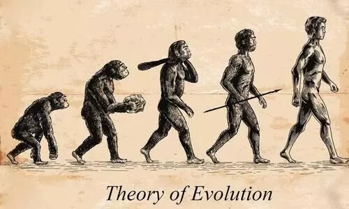 theory of evolution