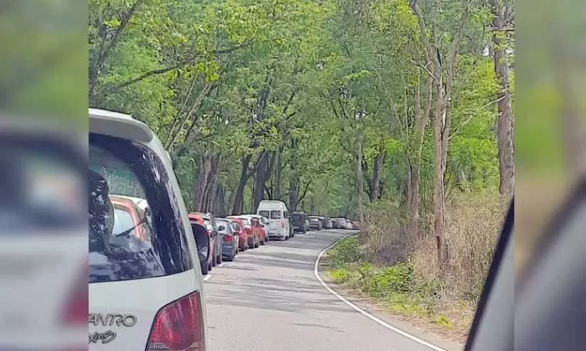 ബന്ദിപ്പുർ വനപാതയിലും ഹരിത ഫീസ് ബന്ദിപ്പുർ വനപാതയിലും ഹരിത ഫീസ്