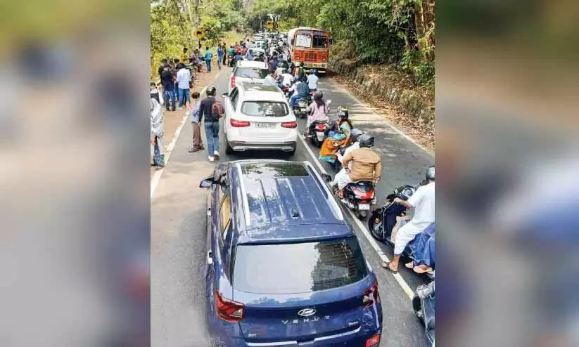 നാടുകാണി ചുരത്തിൽ മണിക്കൂറുകൾ നീണ്ട ഗതാഗത തടസ്സം