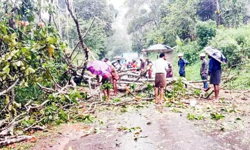 കൊടും ചൂടിന് ആശ്വാസം പകർന്ന് ഇടുക്കിയിൽ വേനൽമഴ കൊടും ചൂടിന് ആശ്വാസം പകർന്ന് ഇടുക്കിയിൽ വേനൽമഴ