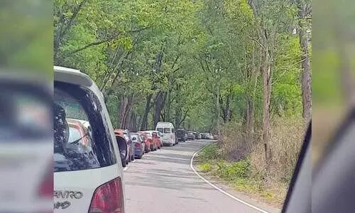 ബ​ന്ദി​പ്പു​ർ വ​ന​പാ​ത​യി​ലും ഹ​രി​ത ഫീ​സ്