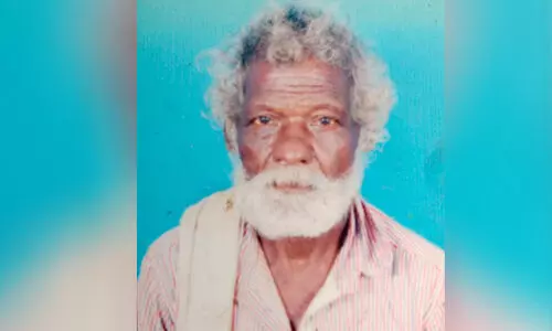 Wild Elephant Attack