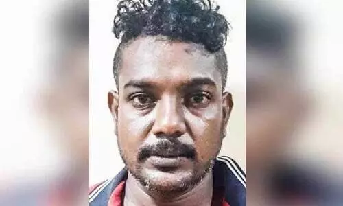 കഞ്ചാവ് ചെടിവളർത്തിയ യുവാവ് അറസ്‌റ്റിൽ