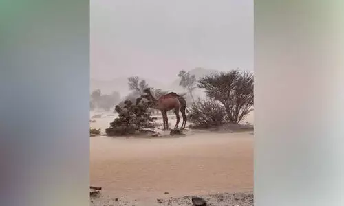 വിവിധ ഗവർണറേറ്റുകളിൽ കനത്ത മഴ