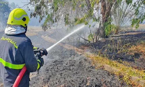 തീ​പി​ടി​ത്തം; കൃ​ഷി​യി​ടം ന​ശി​ച്ചു