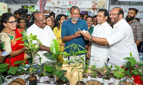 ഈ വർഷം ആയിരം കാർഷിക ഉൽപ്പന്നങ്ങൾ ഓൺലൈൻ വിപണിയിൽ എത്തിക്കുമെന്ന് പി. പ്രസാദ്