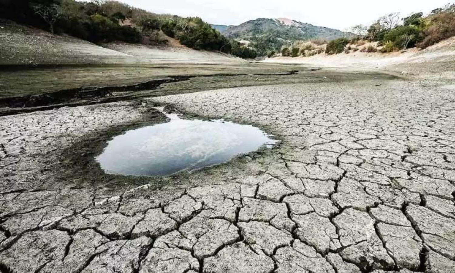 വേ​ന​ൽ ക​ടു​ത്തു; പാ​ല​ക്കാ​ട് ന​ഗ​ര​ത്തി​ൽ കു​ടി​വെ​ള്ളം   കി​ട്ടാ​ക്ക​നി