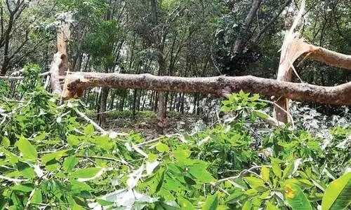 വേനൽ മഴയും കാറ്റും ലക്ഷങ്ങളുടെ നഷ്ടം