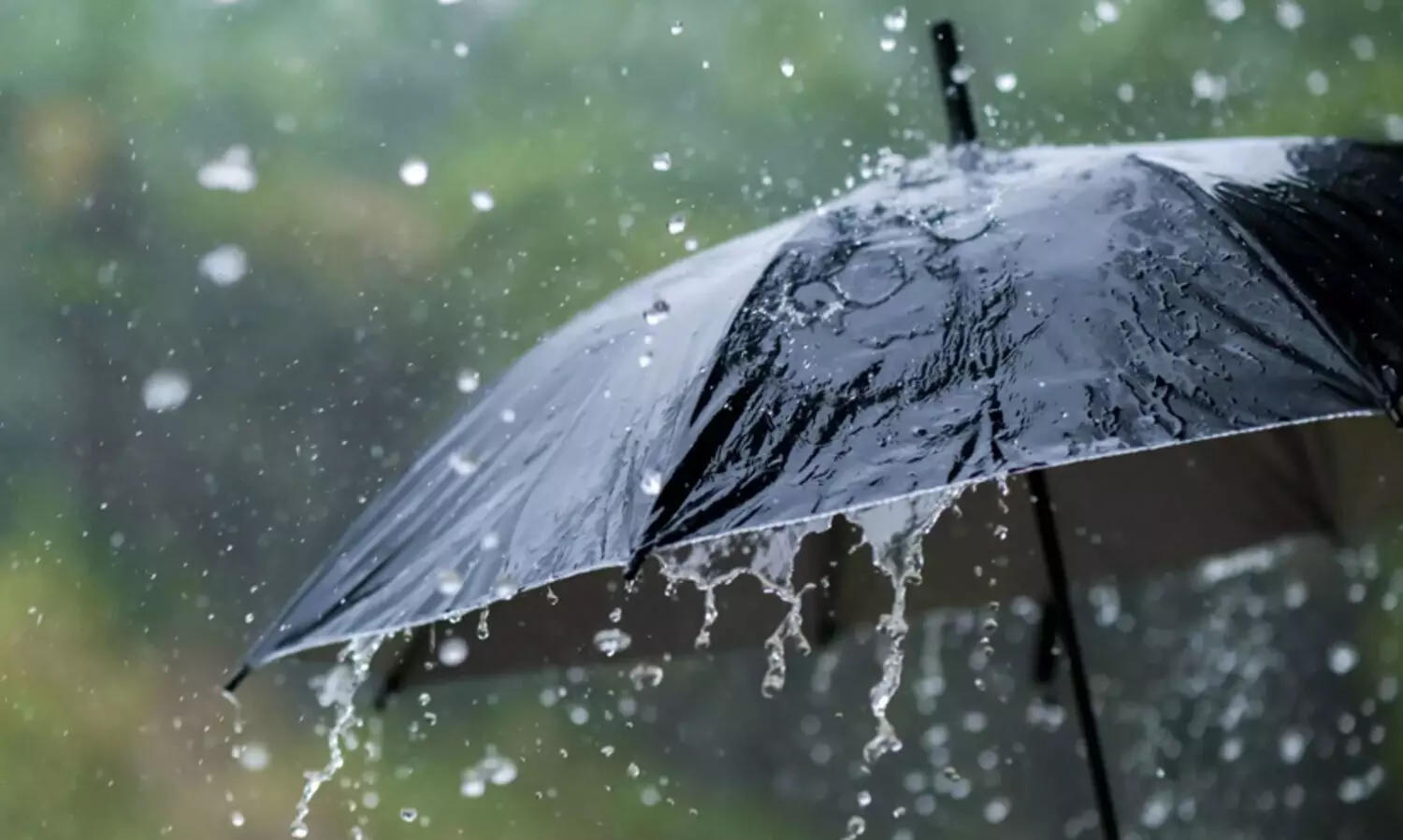 കേരളത്തിൽ ശക്തമായ മഴക്ക് സാധ്യത; ഏഴ് ജില്ലകളിൽ യെല്ലോ അലർട്ട്